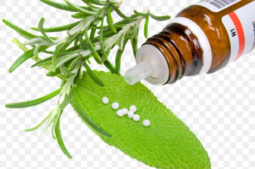 Alternative Health Services Medicine Herb Pharmaceutical Drug, PNG, 1000x667px, Alternative Health Services, Alternative Medicine, Common Comfrey, Disease, Grass Download Free