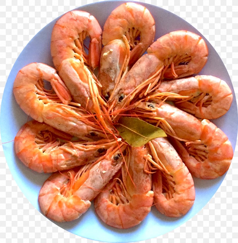 Prawns Caridea Recipe Scampi Food, PNG, 1569x1600px, Prawns, Animal Source Foods, Caridea, Caridean Shrimp, Chef Download Free