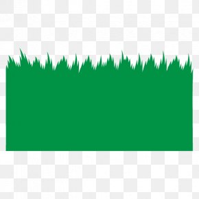 Angle Line Grasses Font Leaf PNG