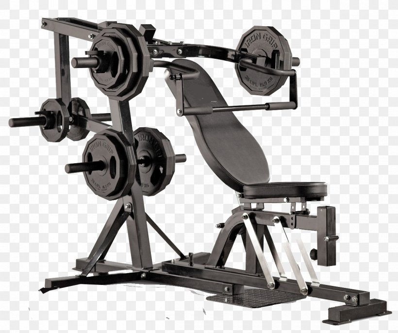 Bench Fitness Centre Exercise Equipment Strength Training Weight Training, PNG, 1200x1004px, Bench, Barbell, Bodybuilding, Exercise, Exercise Equipment Download Free