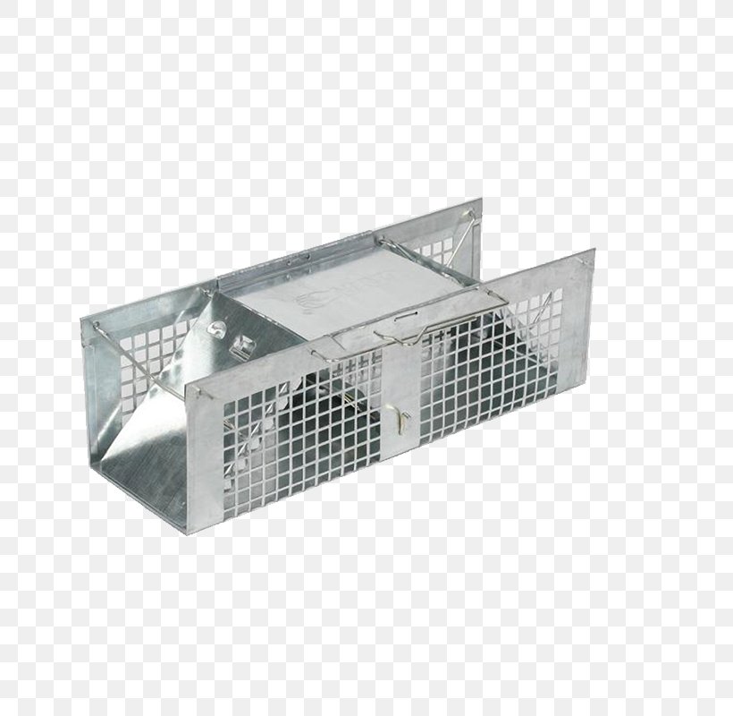 Rodent Trapping Raccoon Rat Trap, PNG, 800x800px, Rodent, Animal, Biting, Cage, Jaguar Download Free