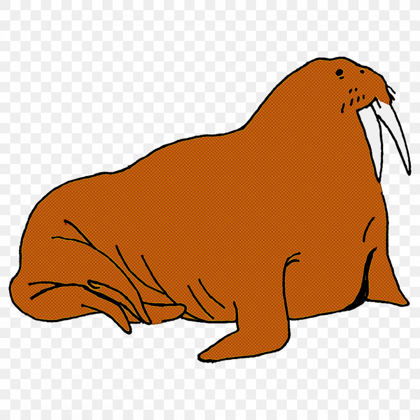 Sea Lions Dog Walrus Whiskers Cat, PNG, 1000x1000px, Sea Lions, Cartoon, Cat, Dog, Drawing Download Free