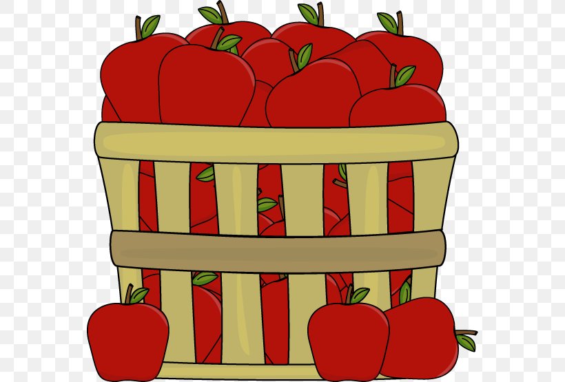 The Basket Of Apples Apple Cider Clip Art, PNG, 568x555px, Autumn, Apple, Art, Autumn Leaf Color, Bell Peppers And Chili Peppers Download Free