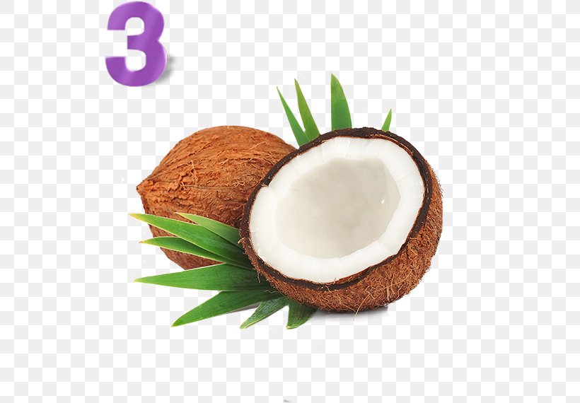 Nata De Coco Coconut Candy Coconut Oil Organic Food, PNG, 528x570px, Nata De Coco, Coconut, Coconut Candy, Coconut Milk Powder, Coconut Oil Download Free