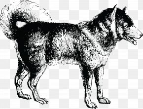 Siberian Husky Drawing Clip Art PNG