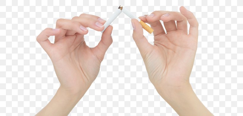 Smoking Cessation Chronic Obstructive Pulmonary Disease Cardiovascular Disease, PNG, 652x390px, Smoking Cessation, Bronchitis, Cardiovascular Disease, Chronic Bronchitis, Cigarette Download Free