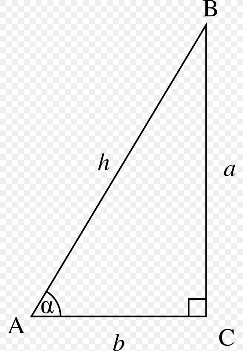 Trigonometry Right Triangle Mathematics Essay, PNG, 768x1184px, Trigonometry, Area, Black, Black And White, Diagram Download Free