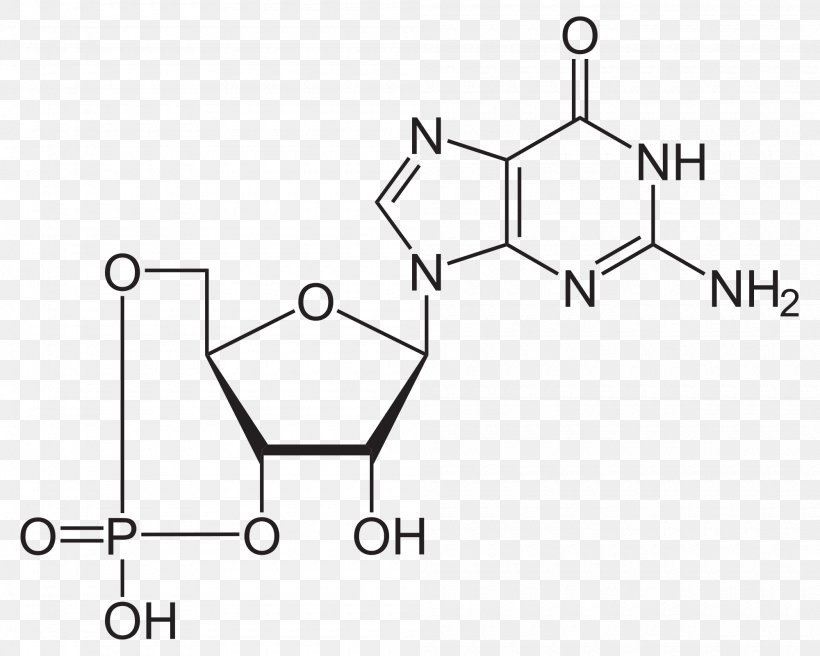 Adenosine Triphosphate Nucleotide Molecule Chemical Substance Structural Formula, PNG, 2000x1601px, Watercolor, Cartoon, Flower, Frame, Heart Download Free