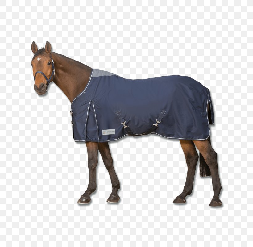 Horse Blanket Pony Couverture D'extérieur 50 G Turnout Light By Bucas Equestrian, PNG, 700x800px, Horse, Animal Figure, Bridle, Equestrian, Equestrian Sport Download Free