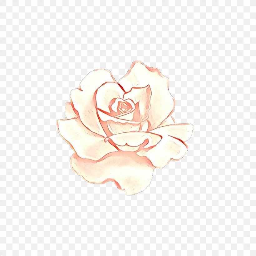 Garden Roses, PNG, 1024x1024px, Cartoon, Beige, Flower, Garden Roses, Hybrid Tea Rose Download Free