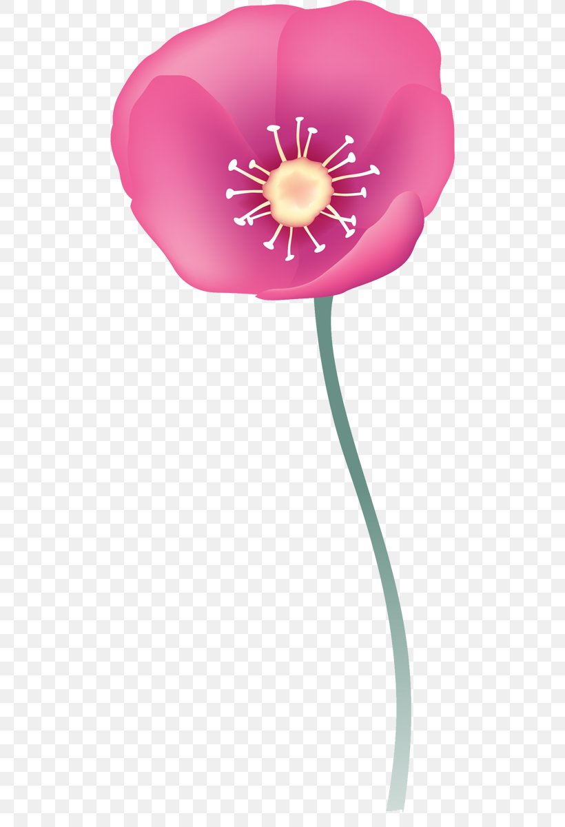 Petal Opium Poppy, PNG, 500x1200px, Petal, Butterfly, Designer, Flora, Flower Download Free