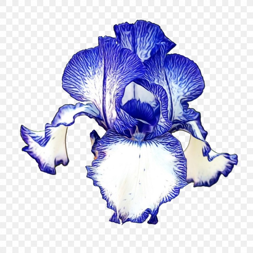 Blue Flower Petal Plant Iris, PNG, 1024x1024px, Watercolor, Blue, Flower, Flowering Plant, Iris Download Free