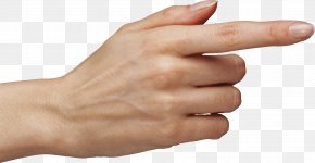 Arm - Hand Finger Clip Art PNG