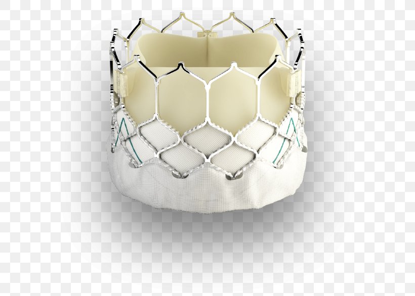 Percutaneous Aortic Valve Replacement Heart Valve, PNG, 599x586px, Aortic Valve, Aorta, Aortic Stenosis, Aortic Valve Replacement, Artificial Heart Valve Download Free