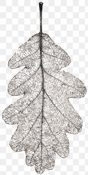 Christmas - Pine Christmas Ornament Twig Leaf PNG
