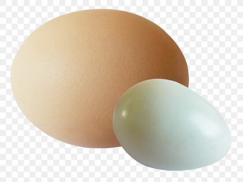 Egg White, PNG, 1079x810px, Egg White, Egg Download Free