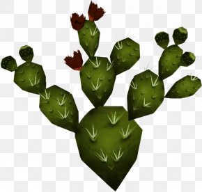 Vegetarian Food Succulent Plant - Green Leaf Background PNG