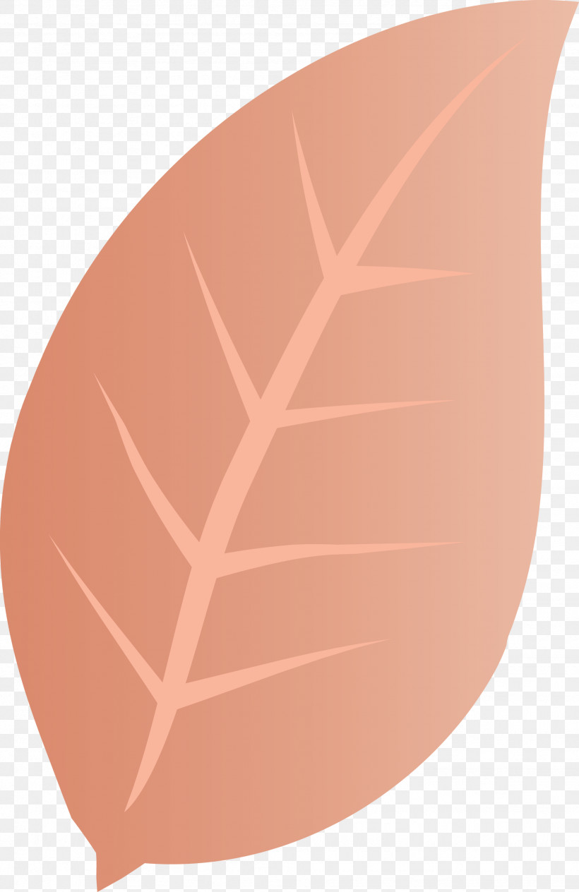 Leaf Angle Line Font Peach, PNG, 1946x3000px, Leaf, Angle, Biology, Line, Peach Download Free