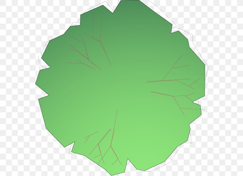 Leaf Tree, PNG, 596x596px, Leaf, Grass, Green, Plant, Tree Download Free
