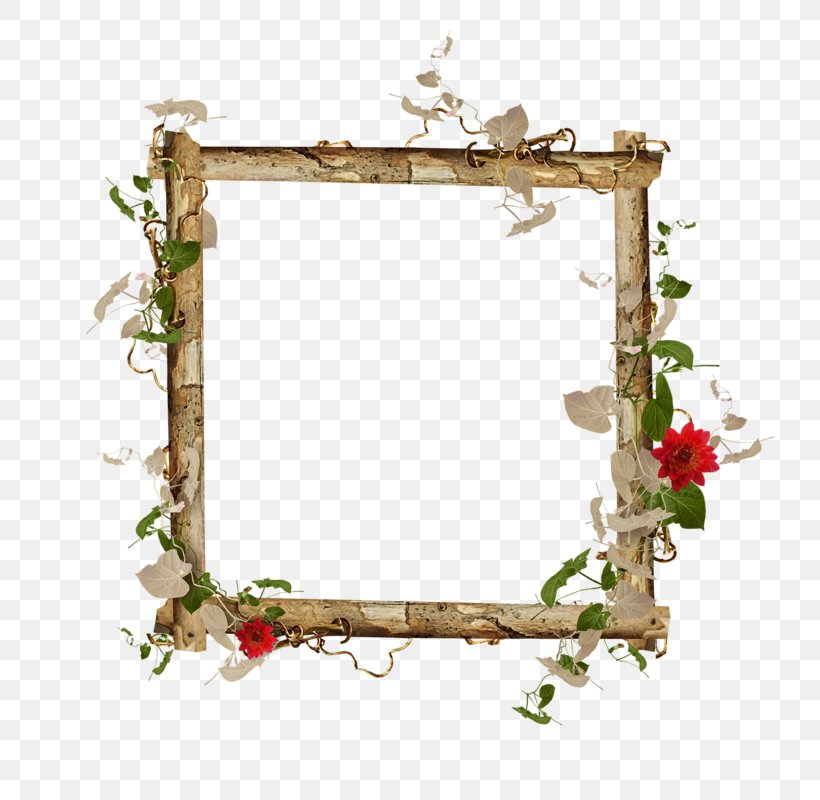 Picture Frames Photography Image Clip Art, PNG, 800x800px, Picture Frames, Bordiura, Decorative Arts, Film Frame, Flower Download Free