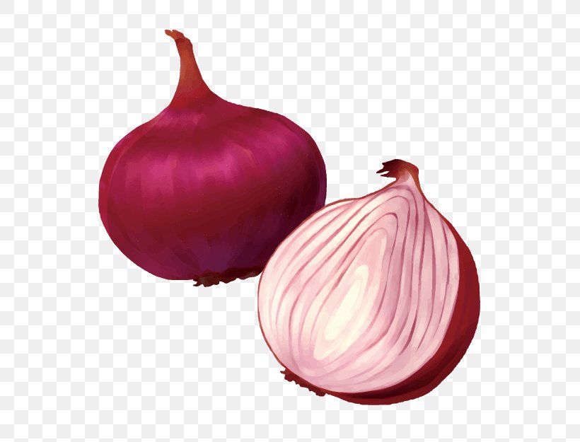 Shallot Yellow Onion Vegetable Food Red Onion, PNG, 624x625px, Shallot, Food, Green, Ingredient, Magenta Download Free