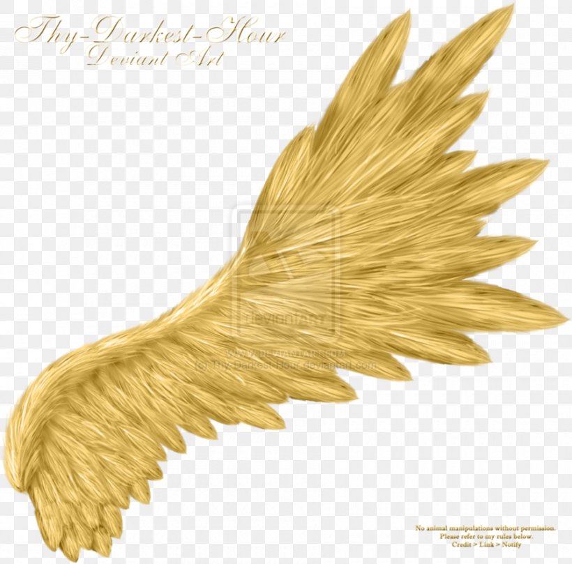 Angel Wings Clip Art, PNG, 900x888px, Angel Wings, Angel, Archangel, Commodity, Devil Download Free