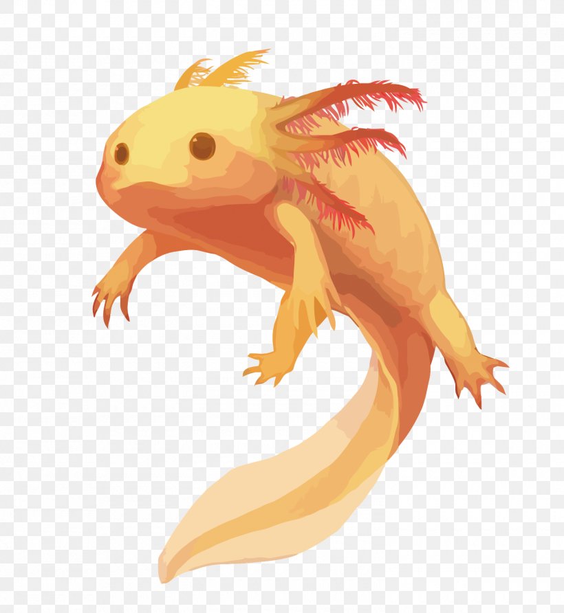Salamander Axolotl Animal Drawing Cuteness, PNG, 1500x1632px, Salamander, Amphibian, Animal, Art, Axolotl Download Free