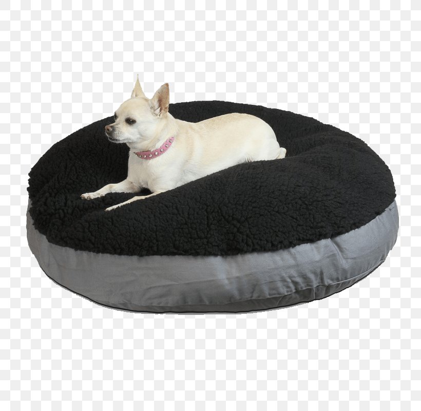 Whiskers Bed Dog 0 Snout, PNG, 800x800px, Whiskers, Bed, Breed, Cat, Cat Bed Download Free