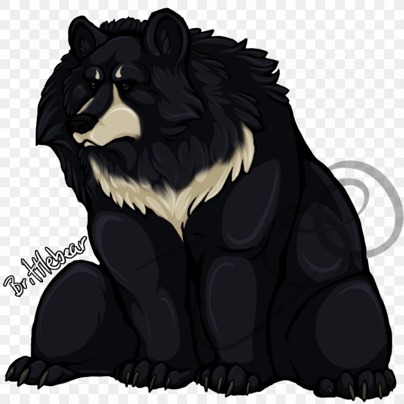 Cat Dog Canidae Fur, PNG, 864x864px, Cat, Bear, Big Cat, Big Cats, Canidae Download Free