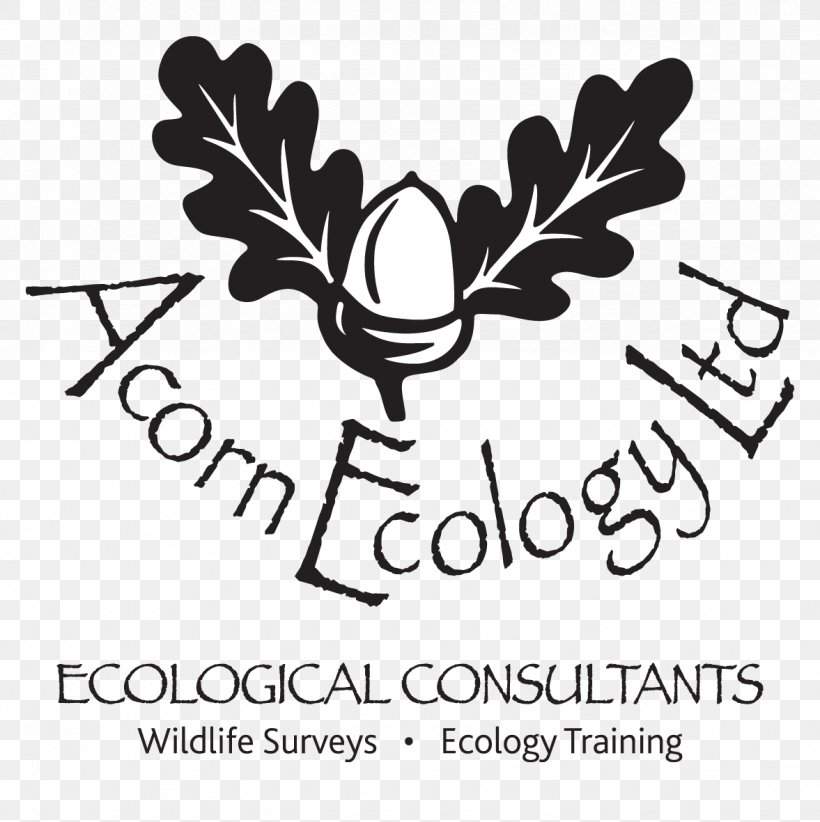 Exeter Acorn Ecology Ltd Environmental Consulting Consultant, PNG, 1177x1181px, Exeter, Area, Black And White, Blog, Brand Download Free