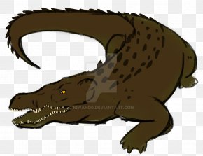 Crocodile - Nile Crocodile Alligators Tyrannosaurus Vertebrate PNG