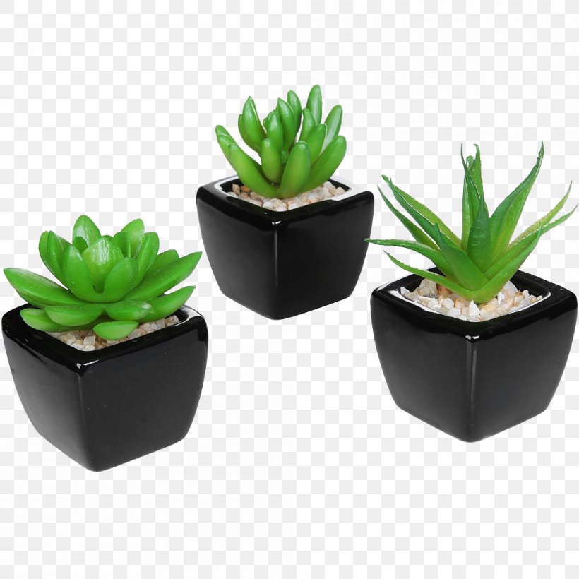 Succulent Plant Flowerpot Ceramic Artificial Flower, PNG, 1000x1000px, Succulent Plant, Agave, Aloe, Artificial Flower, Cactaceae Download Free