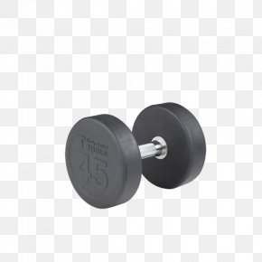Rubber Dumbbells - BodySolid GDR60 Two Tier Dumbbell Rack Body Solid Dual Swivel T Bar Row Platform Weight Training PNG