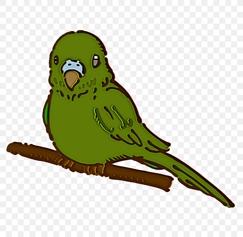 Budgerigar Macaw Birds Parrots Beak, PNG, 800x800px, Budgerigar, Adain, Beak, Birds, Eagle Download Free