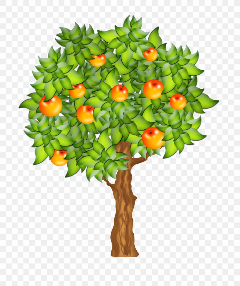 Clip Art Fruit Tree, PNG, 1800x2146px, Fruit Tree, Apple, Branch, Drawing, Flower Download Free