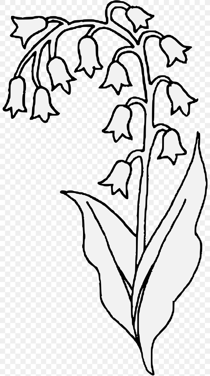 Lily Of The Valley Flower Drawing Plant Stem Clip Art, PNG, 804x1467px, Lily Of The Valley, Area, Art, Black, Black And White Download Free