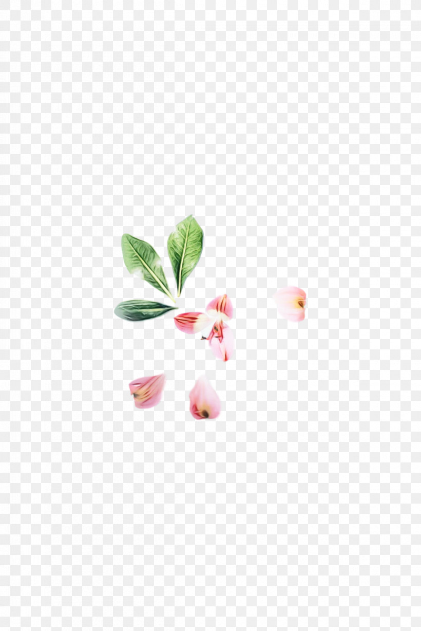 Petal Flower, PNG, 1200x1798px, Watercolor, Flower, Paint, Petal, Wet Ink Download Free