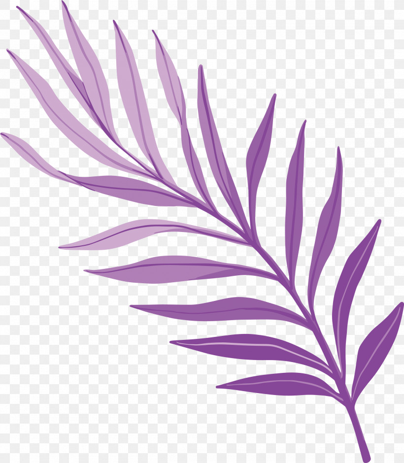 Plant Stem Petal Leaf Purple Line, PNG, 2615x3000px, Plant Stem, Biology, Flower, Leaf, Line Download Free