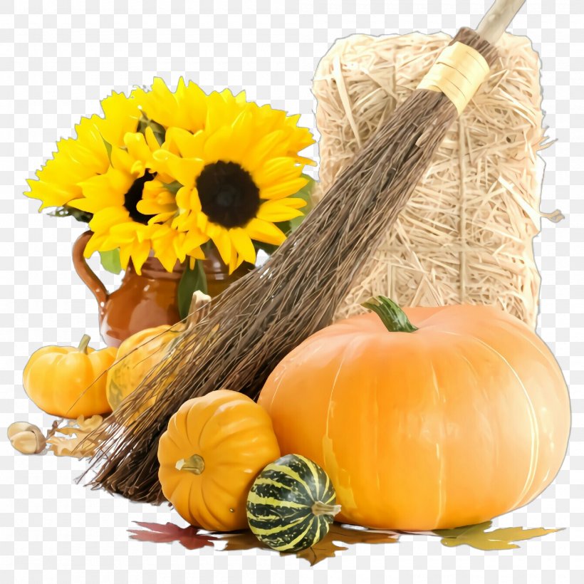 Pumpkin, PNG, 2000x2000px, Natural Foods, Calabaza, Cucurbita, Fruit, Gourd Download Free