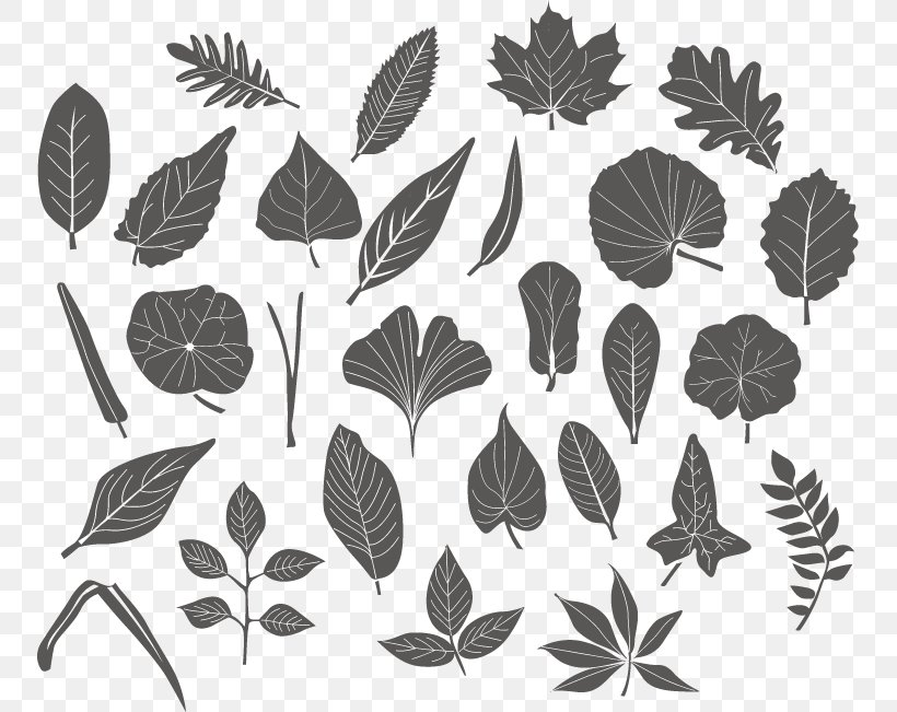 Vector Leaf, PNG, 751x651px, Leaf, Autumn Leaf Color, Black And White, Branch, Flora Download Free