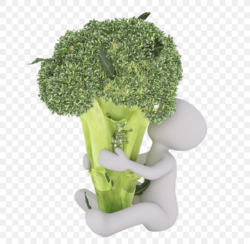 Broccoli Food Dietary Fiber Vegetable Vitamin, PNG, 800x800px, Broccoli, Brussels Sprout, Chicken As Food, Cooking, Diet Download Free
