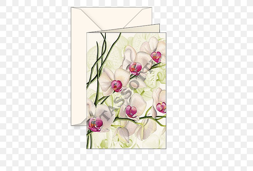 Floral Design Paper Cut Flowers Orchids Greeting & Note Cards, PNG, 555x555px, Floral Design, Cut Flowers, Decoupage, Flora, Floristry Download Free