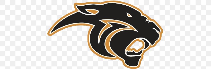 Plano East Senior High School Carolina Panthers Tom Kimbrough Stadium Peoria High School Png 452x270px Plano