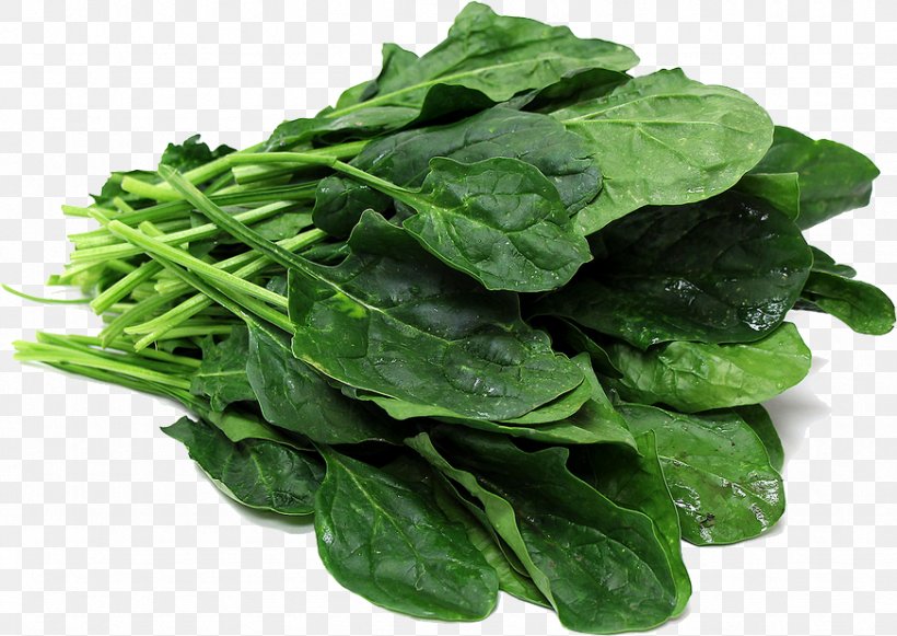 Spinach Vegetable Komatsuna, PNG, 872x618px, Spinach, Broccoli, Brussels Sprout, Capitata Group, Carotene Download Free