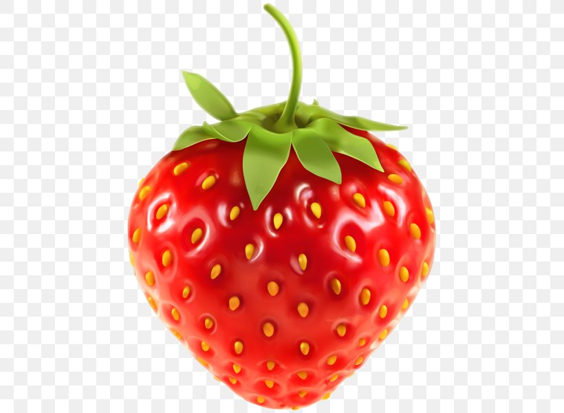 Vector Graphics Clip Art Strawberry Illustration Fruit, PNG, 457x600px, Strawberry, Accessory Fruit, Berries, Dried Fruit, Food Download Free