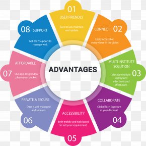 Business - Business Process Information Technology Enterprise Content Management School PNG