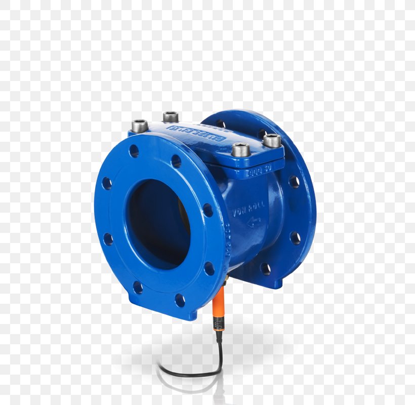Check Valve Drinking Water Pump Spring, PNG, 800x800px, Check Valve, Common Fig, Drinking, Drinking Water, Hardware Download Free