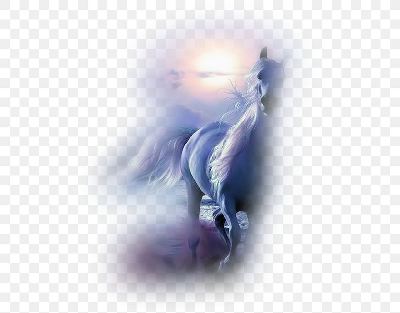Appaloosa Equestrian Draft Horse Canter And Gallop, PNG, 500x642px, Appaloosa, Animation, Canter And Gallop, Carousel, Draft Horse Download Free
