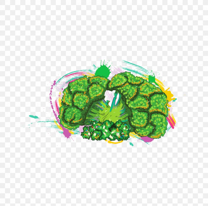 Broccoli Vegetable Illustration, PNG, 1432x1416px, Broccoli, Cooking, Food, Grass, Green Download Free