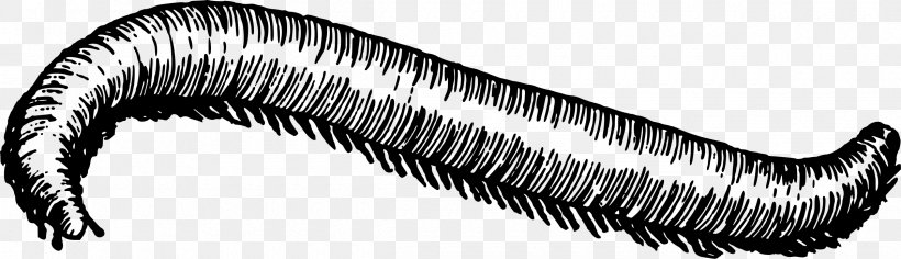 Clip Art, PNG, 2400x693px, User Interface, Black And White, Eyelash, Millipedes, Monochrome Download Free